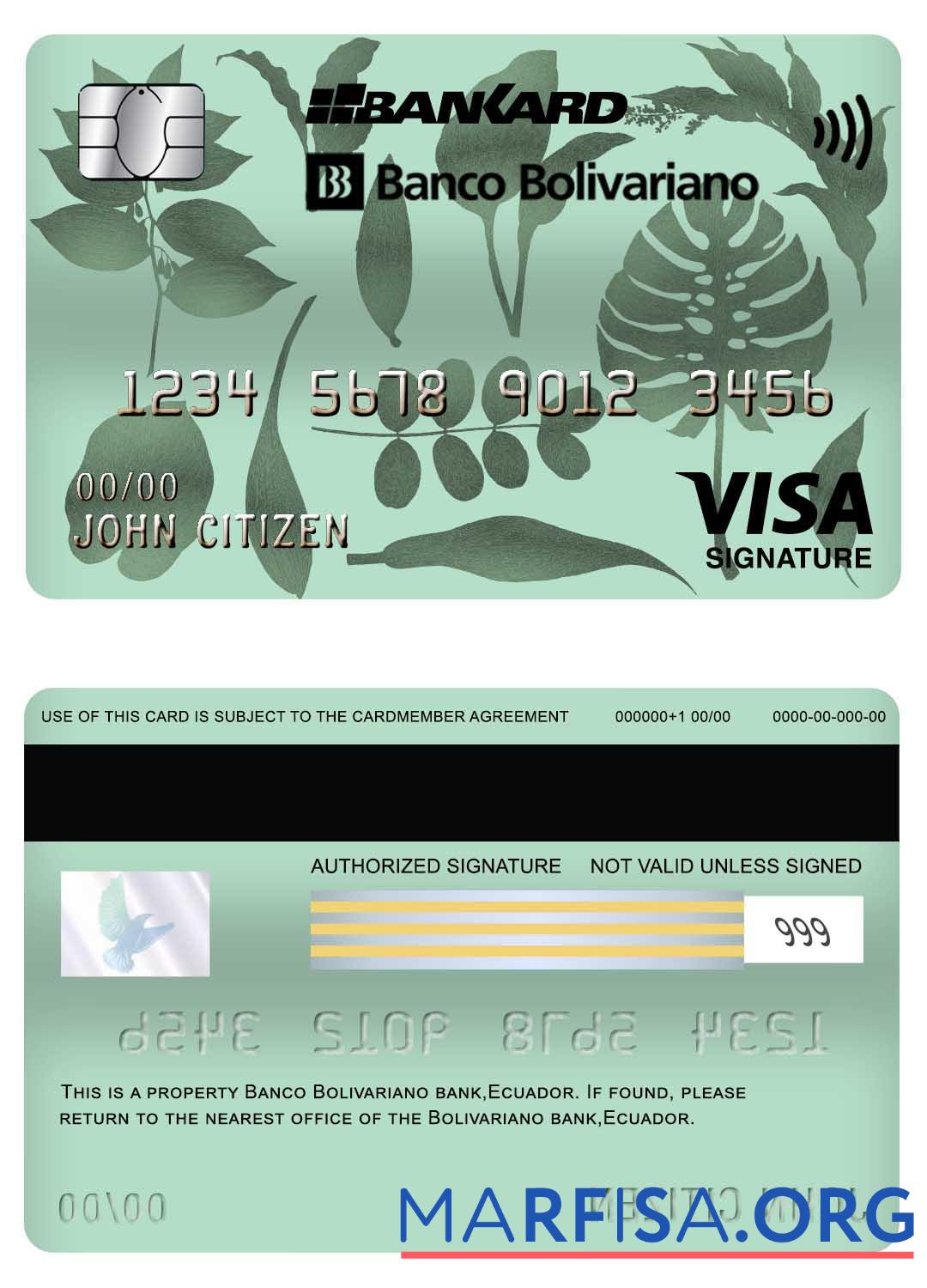 Realistic Ecuador Banco Bolivariano bank visa signature card sample